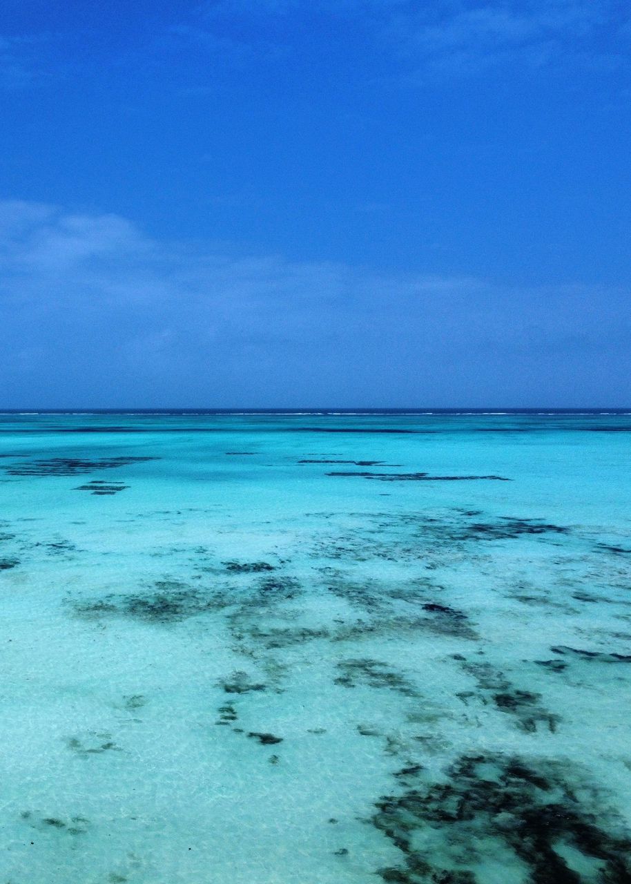 Blue Lagoon 2