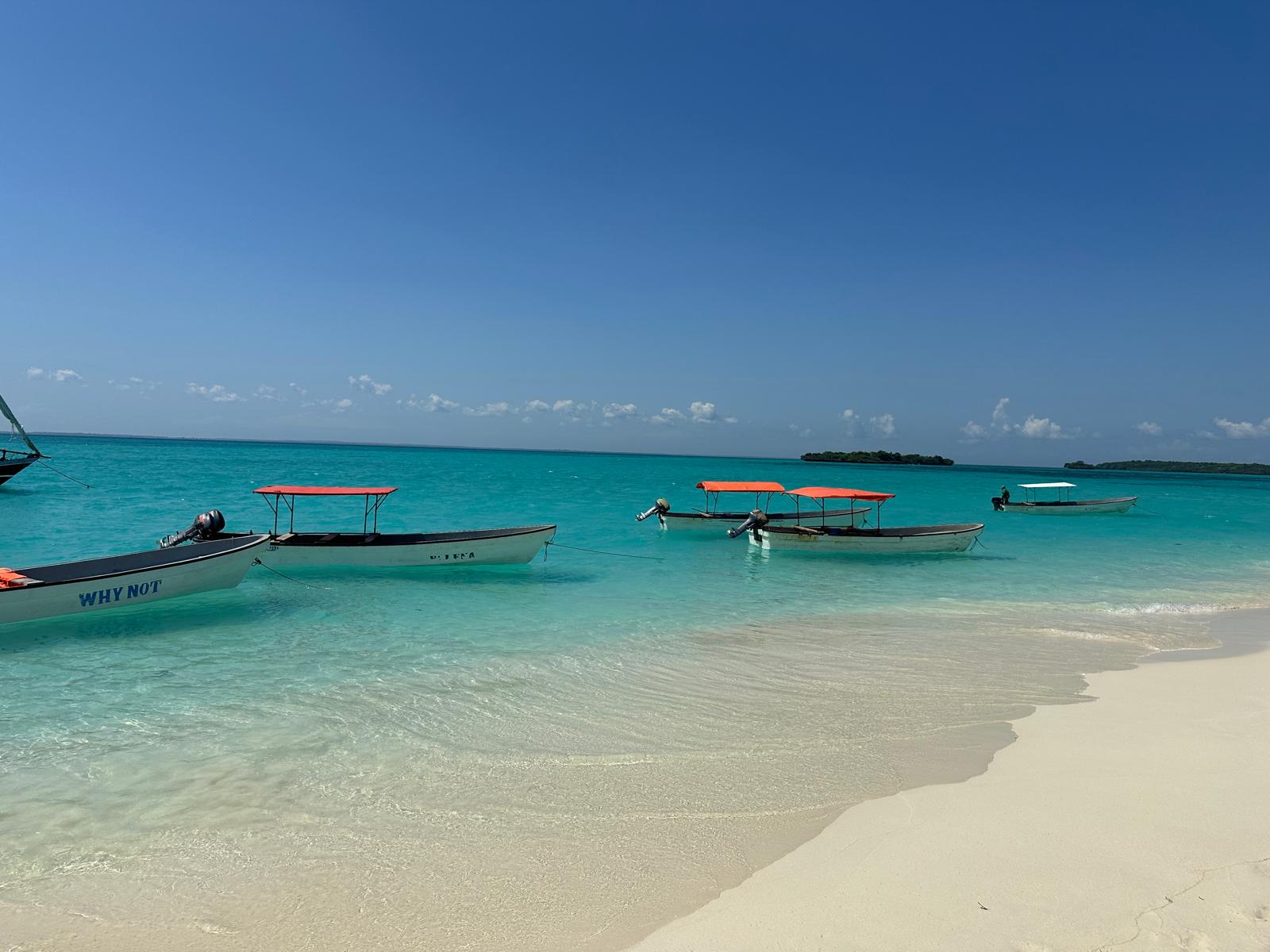 Île Pungume 3