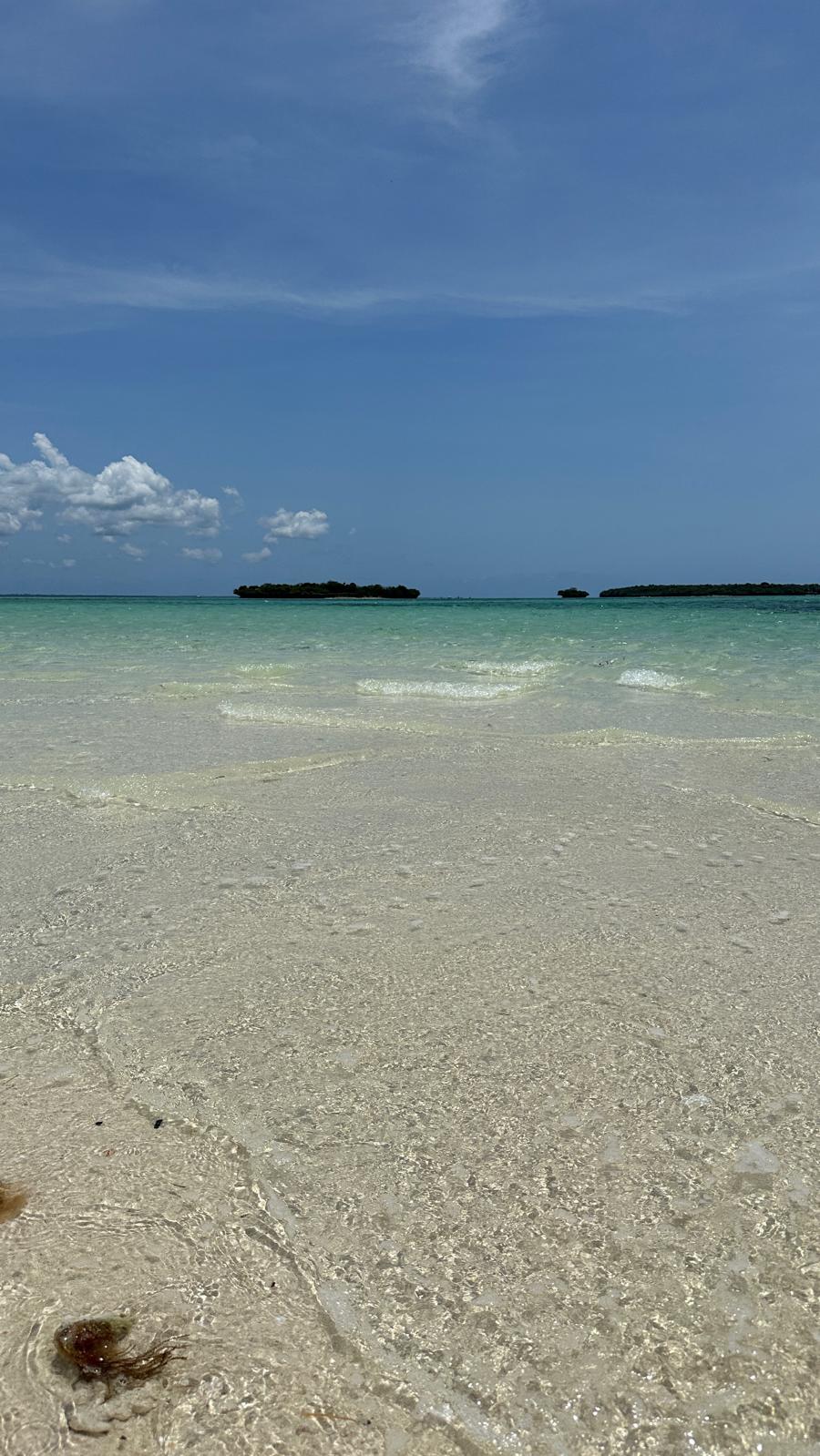 Île Pungume 4