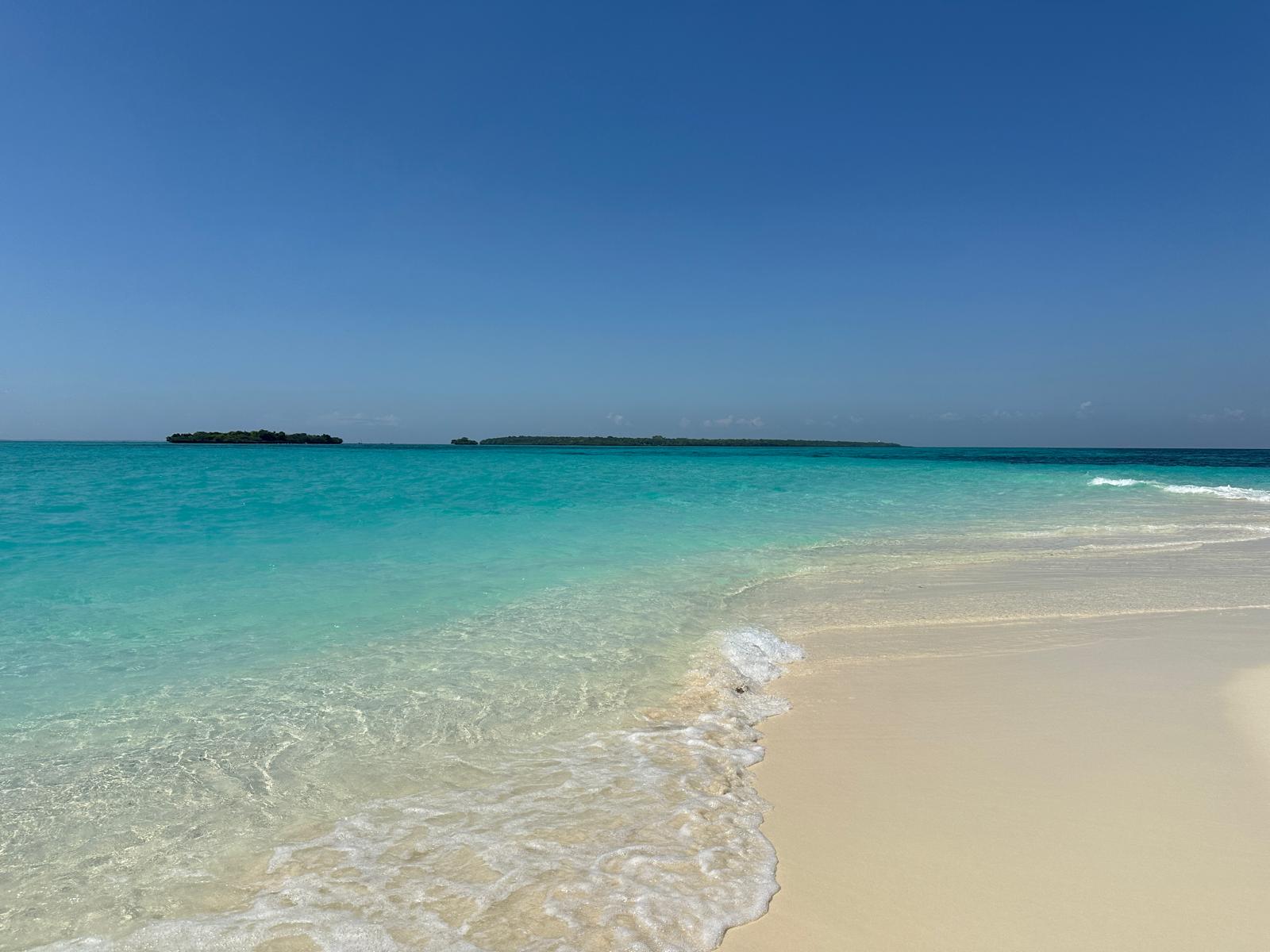 Île Pungume 5
