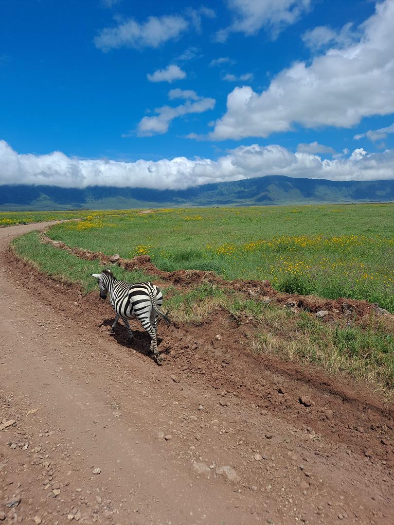 Serengeti + Ngorongoro — 3 Jours / 2 Nuits