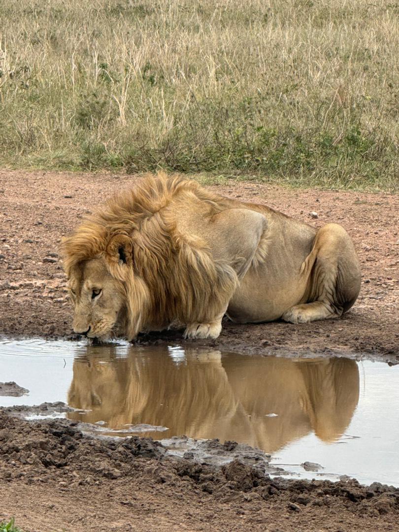 Serengeti + Ngorongoro — 3 Jours / 2 Nuits 2